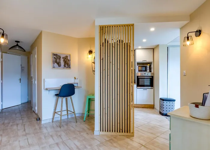 Rez De Jardin Climatise * Agde