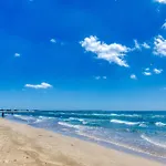 Rez De Jardin Climatise * Agde